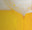 Suntory ALL-FREE logo